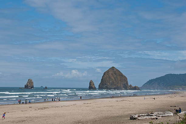 People Enjoying the Beach Cannon Beach, Oregon, USA - July 13, 2011: The famous Haystack Rock is a basalt monolith formed some 15-16 million years ago by lava flows emanating from the Blue Mountains and Columbia Basin.  It is also one of the most identifiable rock formations on the Pacific Coast.  These people are enjoying a sunny day at the beach near Haystack Rock.  Haystack Rock is in Cannon Beach, Oregon, USA. jeff goulden oregon coast stock pictures, royalty-free photos & images
