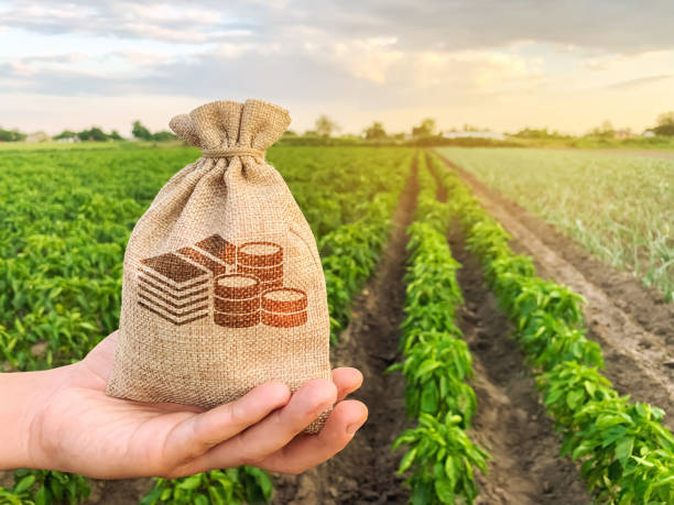 usda farm loans north dakota