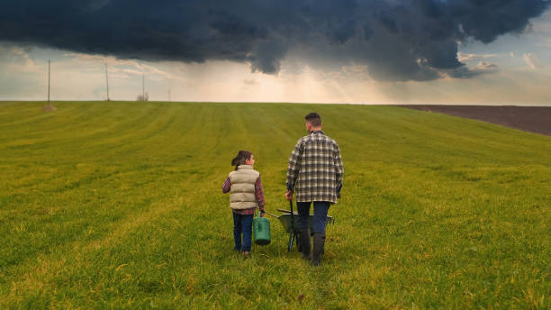 The farmer with his little son walking through the green field stock photo