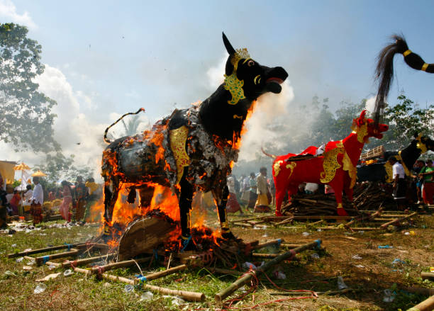 The fire burned several coffins in the shape of a cow statue during a mass Ngaben ceremony. stock photo