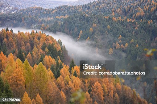 istock The fog in the valley on the river 984296266