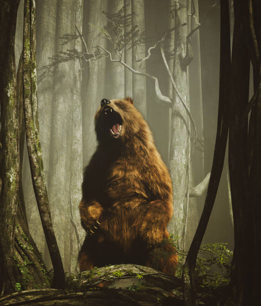 The forest's tales,Brown grizzly bear in magical forest,3d illustration stock photo