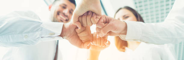 The four smile business people greeting with a fist on the sunny background stock photo