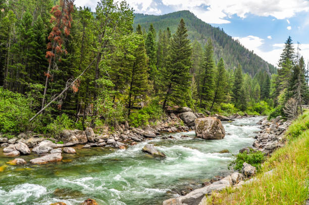 The Gallatin River Runs Along the High Mountains of Montana stock photo