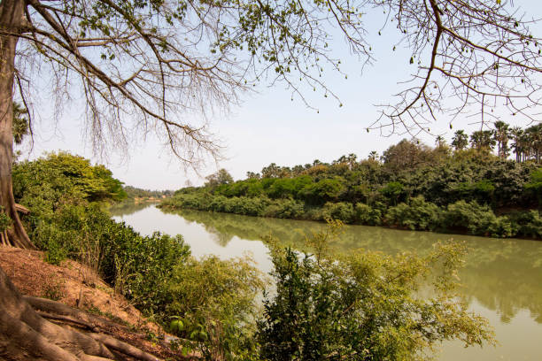 The Gambia River, Niokolo-Koba National Park, Senegal stock photo