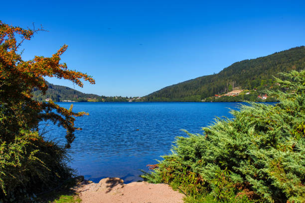 The Gerardmer lake in France in France the city of Gerardmer Vosges with a beautiful lake vosges department france stock pictures, royalty-free photos & images
