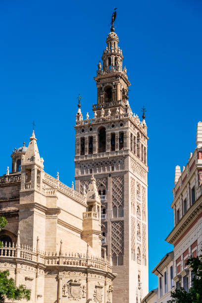The Giralda (Seville Cathedral bell tower) in Seville, Spain The Giralda was originally a minaret built in 1198 and converted into a bell tower in 1568. It is one of Seville's most important landmarks. seville cathedral stock pictures, royalty-free photos & images