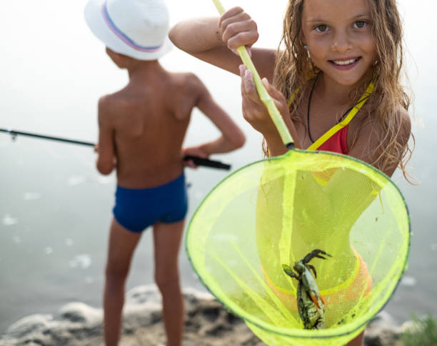 The girl was caught  a crab with a net a girl caught a crab with a net in the lake crabbing stock pictures, royalty-free photos & images
