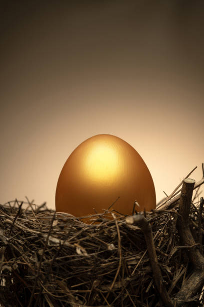 The gold in the bird's nest egg stock photo