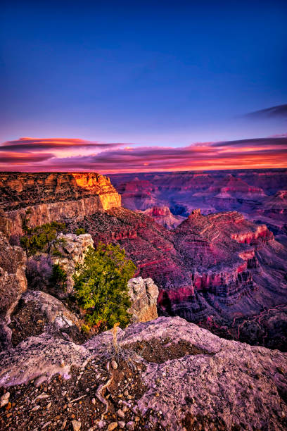 The Grand Canyon Arizona Dawn at the Grand Canyon National Park grand canyon stock pictures, royalty-free photos & images