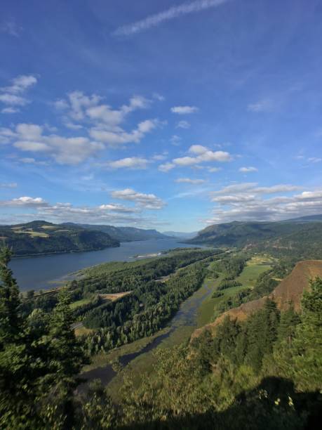 the great columbia river gorge as seen from crown point - panoramic view driving in the columbia river gorge national scenic area, or - usa columbia river gorge stock pictures, royalty-free photos & images