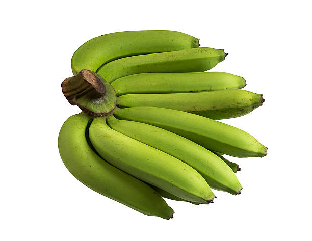 The green bananas in Thailand stock photo