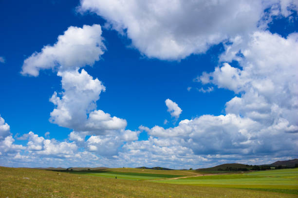 The green silky meadow and blue cloudy sky stock photo