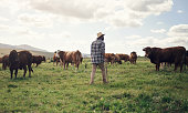 istock The greener the grass, the more they graze 1303739227
