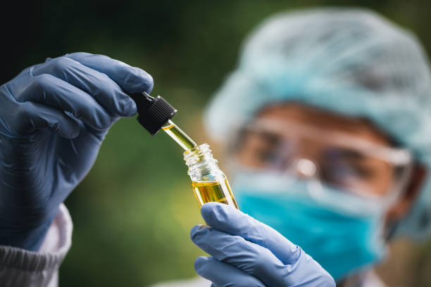 as mãos de cientistas que lançam óleo de maconha para experimentação e pesquisa, óleo de cânhamo ecológico de uma jarra. - cannabis oil - fotografias e filmes do acervo