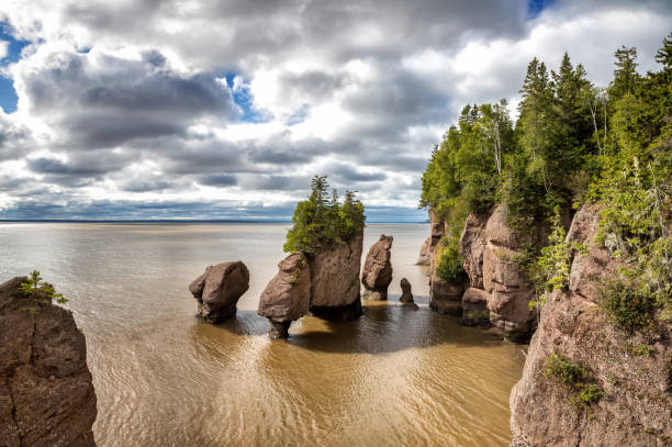 The Hopewell, or Flowerpot Rocks in the Bay of Fundy, New Brunswick The Hopewell, or Flowerpot Rocks in the Bay of Fundy, New Brunswick, Canada. The area has two tides a day and one of the highest average tides in the world, averaging 16metres. low tide stock pictures, royalty-free photos & images