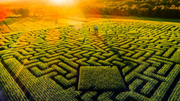 The huge Halloween's Corn Maze in Pennsylvania, Poconos Region The aerial view to the huge Halloween's Corn Maze in Pennsylvania, Poconos Region, at sunset maze photos stock pictures, royalty-free photos & images