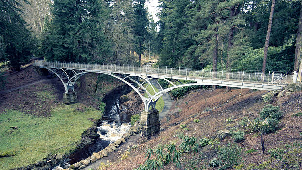 The Iron Bridge at Cragside, Northumberland The Iron Bridge, which spans the Debdon Burn at Cragside, near Rothbury in Northumberland rothbury northumberland stock pictures, royalty-free photos & images