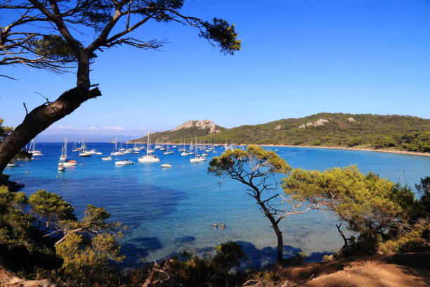 The island of Porquerolles and the Notre-dame beach stock photo