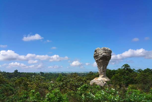 de grote steen in soortgelijke vorm aan trofee op pa hin ngam nationaal park chaiyaphum, thailand. - chaiyaphum stockfoto's en -beelden