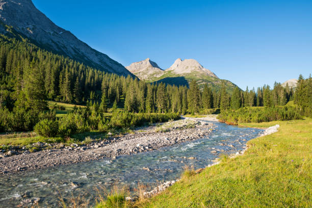 The Lech river flowing in the Alps The Lech river in the Lech valley in the Alps in Vorarlberg, Austria. lech river stock pictures, royalty-free photos & images