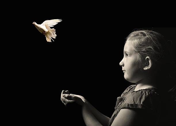 The little girl releasing a white dove from hands. stock photo