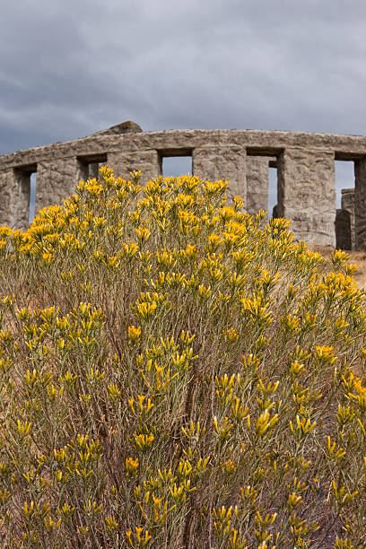 Yellow Rabbit Brush at Stonehenge Memorial The Maryhill Stonehenge is a replica of England's Stonehenge. It was commissioned in the early 20th century by the wealthy railroad executive and entrepreneur Sam Hill who was also a Quaker pacifist. The memorial was dedicated on July 4, 1918 to the people who died in World War I. The Maryhill Stonehenge is located near Maryhill, Washington State, USA. jeff goulden columbia gorge stock pictures, royalty-free photos & images