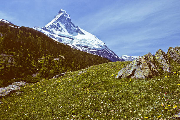 The Matterhorn and Meadow The Matterhorn (14,692') in the Pennine Alps on the border between Switzerland and Italy is probably one of the most recognizable mountains in the world. This picture was taken from the beautiful meadows above the town of Zermatt in Valais Canton in Switzerland. jeff goulden switzerland stock pictures, royalty-free photos & images