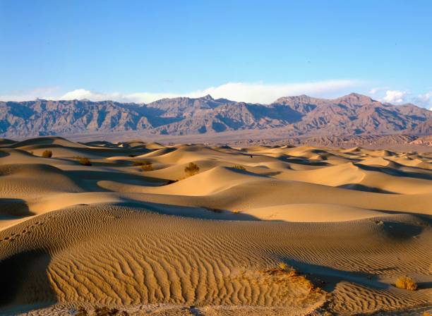 The Mesquite Sand Dunes in Death Valley The Mesquite Sand Dunes in Death Valley National Park in California USA great basin stock pictures, royalty-free photos & images