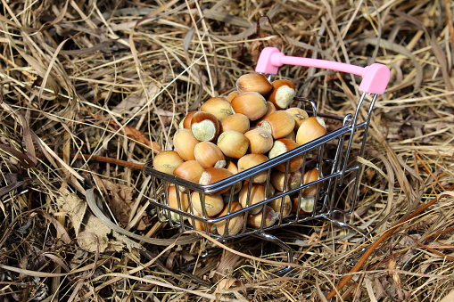 The miniature shopping cart is filled with hazelnuts.