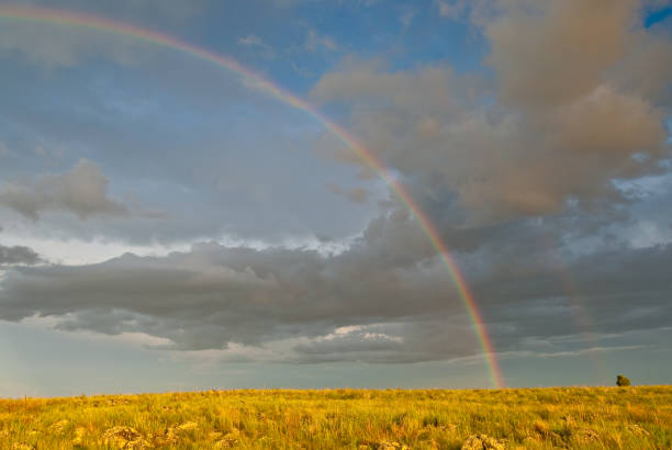 Rainbow Over a Meadow The monsoon season in Northern Arizona comes with some dramatic scenery. The rainbow was photographed in the meadows above Mormon Lake south of Flagstaff, Arizona, USA. jeff goulden rainbow stock pictures, royalty-free photos & images