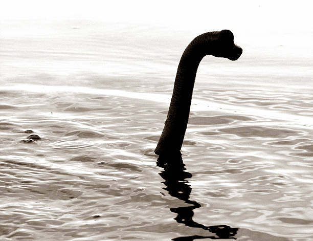 The Monster of Loch Ness stock photo
