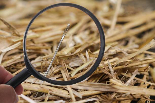 The needle is lost in a haystack and searching with a  loupe stock photo