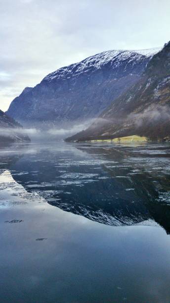 kışın nærøyfjord. denizde yansıma. simetri. - laporta stok fotoğraflar ve resimler