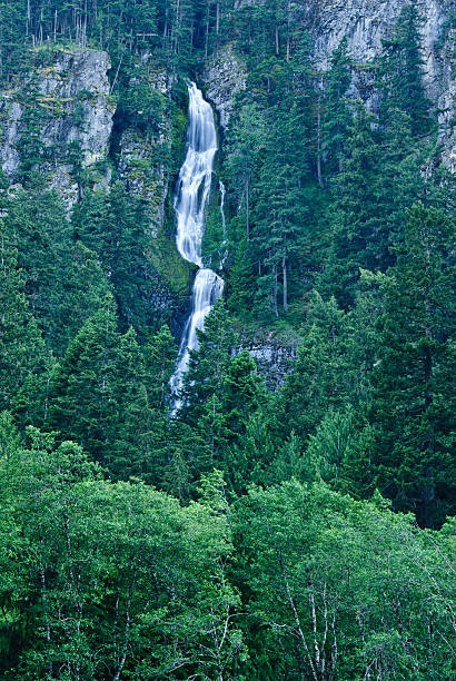 Skookum Falls The numerous waterfalls of the Cascade Range and foothills are best viewed in early summer as melting snow feeds the streams, and again in autumn as the rains fill the streambeds. During late summer, only the major waterfalls will be flowing. Only a small number of the many waterfalls in Washington State have been named. Whether the falls have names or not, they are a refreshing sight to both the eye and spirit. Skookum Falls was photographed in the Mount Baker Snoqualmie National Forest near Greenwater, Washington State, USA. jeff goulden waterfall stock pictures, royalty-free photos & images