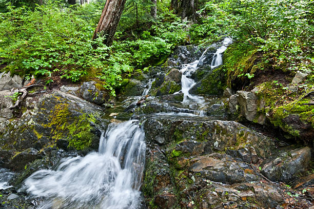 Waterfall on the Pacific Crest Trail The numerous waterfalls of the Cascade Range and foothills are best viewed in early summer as melting snow feeds the streams, and again in autumn as the rains fill the streambeds. During late summer, only the major waterfalls will be flowing. Only a small number of the many waterfalls in Washington State have been named. Whether the falls have names or not, they are a refreshing sight to both the eye and spirit. This waterfall was photographed on the Kendall Katwalk Trail in the Alpine Lakes Wilderness, Washington State, USA. jeff goulden alpine lakes wilderness stock pictures, royalty-free photos & images