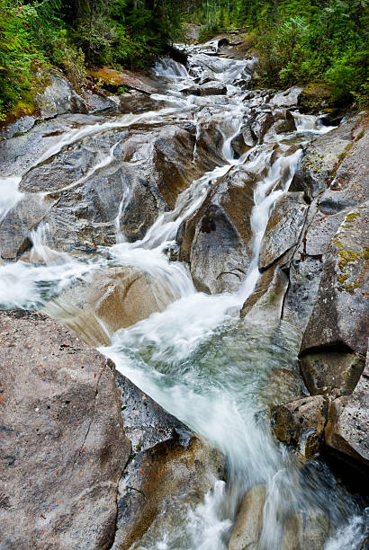 Camp Robber Creek The numerous waterfalls of the Cascade Range and foothills are best viewed in early summer as melting snow feeds the streams, and again in autumn as the rains fill the streambeds. During late summer, only the major waterfalls will be flowing. Only a small number of the many waterfalls in Washington State have been named. Whether the falls have names or not, they are a refreshing sight to both the eye and spirit. This waterfall was photographed on Camp Robber Creek by the Lake Dorothy Trail in the Alpine Lakes Wilderness, Washington State, USA. jeff goulden alpine lakes wilderness stock pictures, royalty-free photos & images