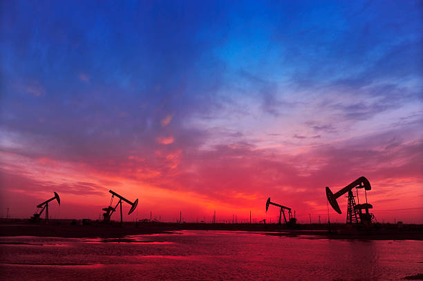 The oil pump The oil pump oil field stock pictures, royalty-free photos & images