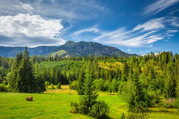 The Osobita hill in Rohace area of the Tatra National Park, Slov The Osobita hill in Rohace area of the Tatra National Park, Slovakia, Europe. slovakia stock pictures, royalty-free photos & images