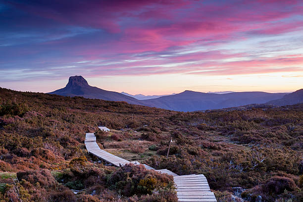 The Overland Track The Overland Track is one of Australia's most famous bush treks, situated in the Cradle Mountain-Lake St Clair National Park, Tasmania. More than 8000 walkers each year complete the track. bush land photos stock pictures, royalty-free photos & images