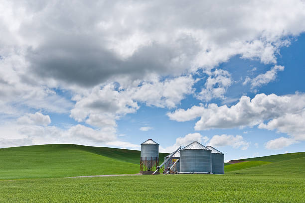 Grain Silo The Palouse is a rich agricultural area encompassing much of southeastern Washington State and parts of Idaho. It is characterized by low rolling hills mostly devoid of trees. Photographers are drawn to the Palouse for its wide open landscapes and ever changing colors. In the spring it is a visual mosaic of green. This picture of a grain silo in a wheatfield was taken at Fugate Road near the town of Palouse, Washington State, USA. jeff goulden palouse stock pictures, royalty-free photos & images