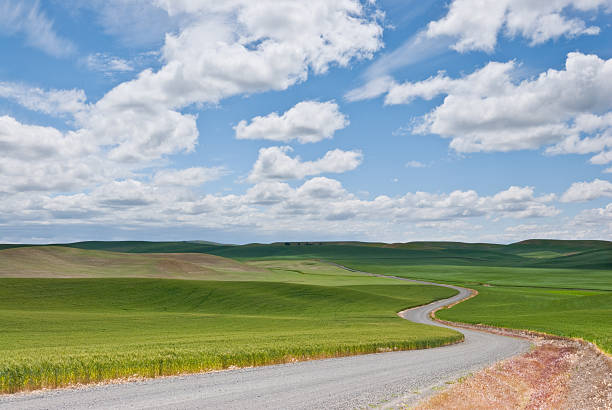 Road Winding Through the Palouse Wheatfields The Palouse is a rich agricultural area encompassing much of southeastern Washington State and parts of Idaho. It is characterized by low rolling hills mostly devoid of trees. Photographers are drawn to the Palouse for its wide open landscapes and ever changing colors. In the spring it is a visual mosaic of green. This picture was taken near the town of Palouse, Washington State, USA. jeff goulden palouse stock pictures, royalty-free photos & images