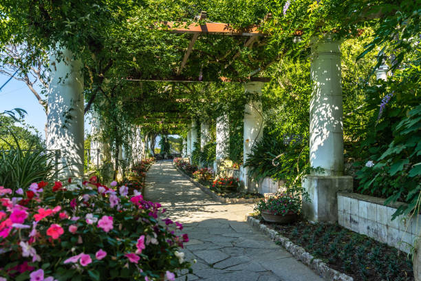 The pergola full of flowers at the gardens of Villa San Michele in Capri, built by Swedish physician Axel Munthe, Italy stock photo