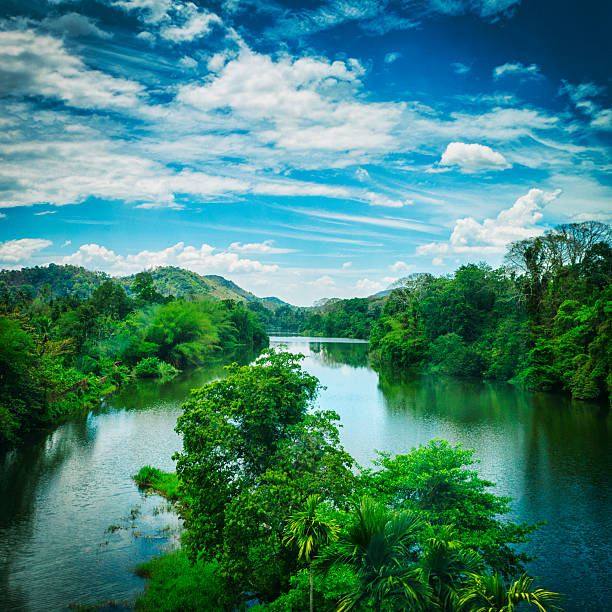Best Periyar National Park Stock Photos, Pictures & Royalty-Free Images ...