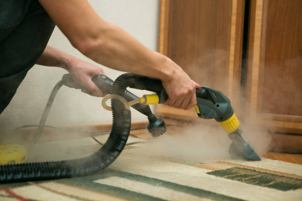 The process of cleaning carpets with a steam vacuum cleaner. An employee of a cleaning company cleans the carpet using steam. stock photo