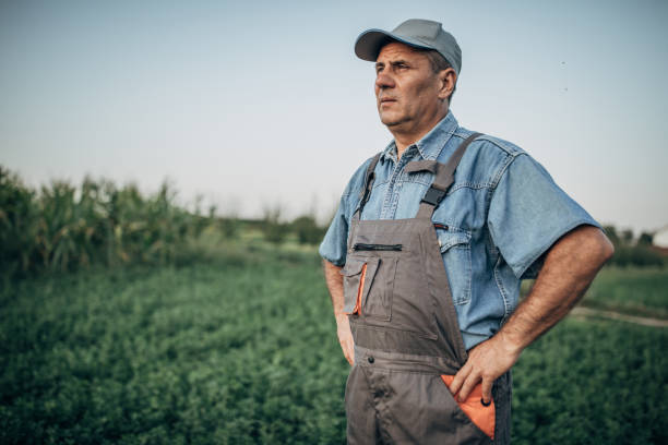The proud farmer stands in a field The proud farmer stands in a field crop yield stock pictures, royalty-free photos & images