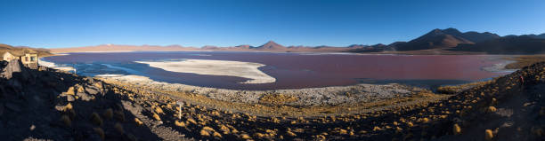 The red colored water filled Laguna Colorada on the highlands of Bolivia that is home to many flamingos stock photo
