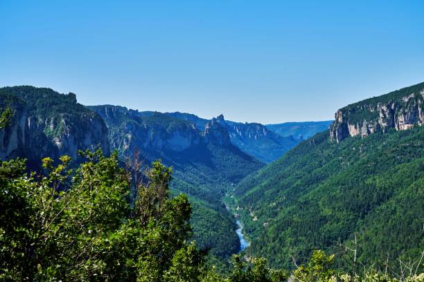 the river Tarn shines in its deep gorge Cevennes National Park gorges du tarn stock pictures, royalty-free photos & images