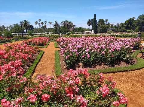 The Rosedal of Palermo (Rose Garden), Buenos Aires, Argentina