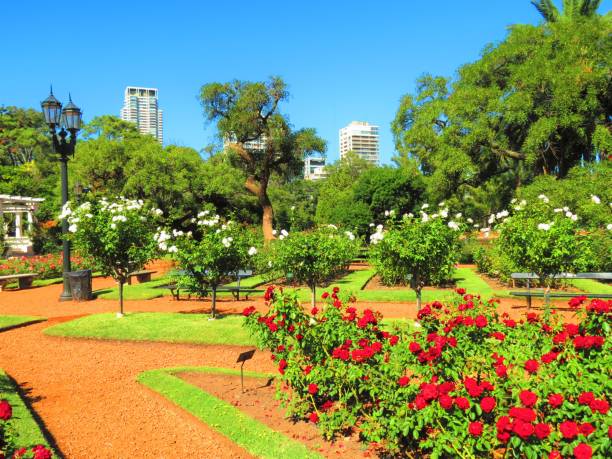 The Rosedal Park in Parque Tres de Febrero at the Palermo. Buenos Aires Parks. stock photo